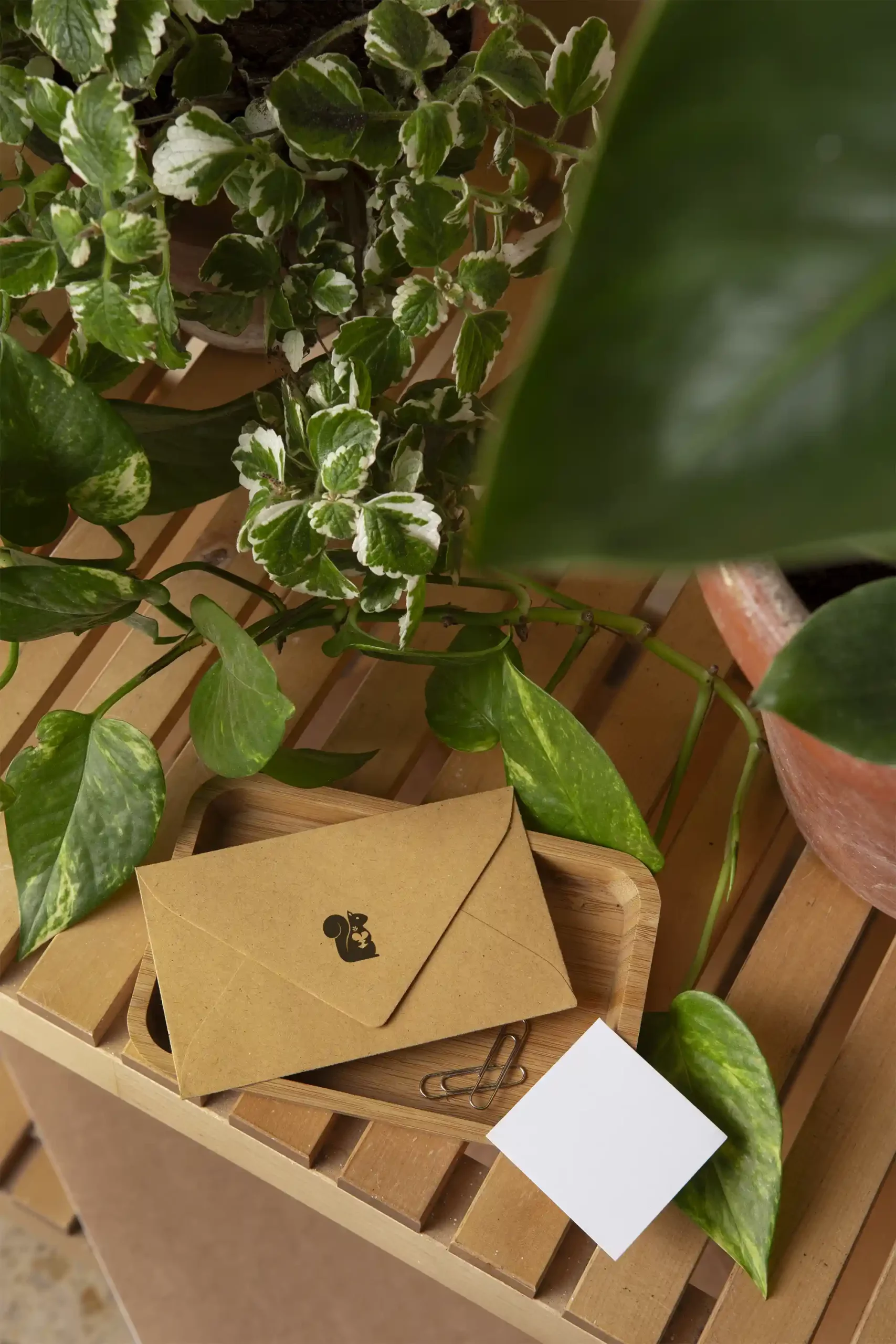 photo d'une enveloppe avec une impression du logo nature au coeur
