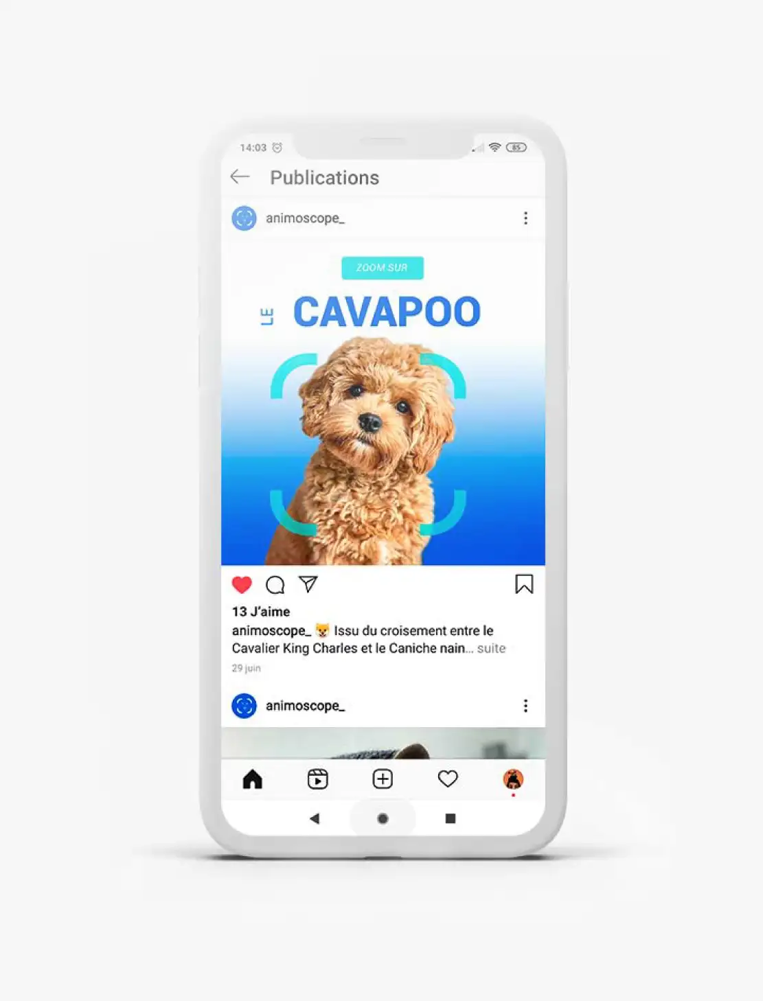 visuel d'un téléphone portable avec un visuel de chien animoscope